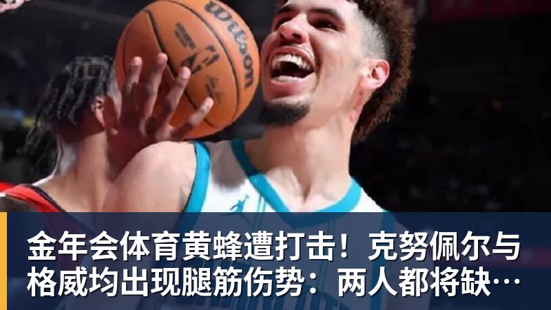 金年会体育黄蜂遭打击！克努佩尔与格威均出现腿筋伤势：两人都将缺席季前赛